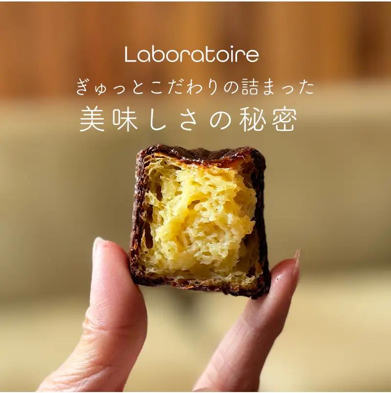 カヌレ 12個 プレーン カヌレ・ド・ボルドー