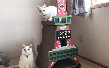 猫の爪とぎ　S型　にゃんずタワー 猫 ねこ ネコ キャット cat 爪とぎ ダンボール 段ボール タワー クラフト 写真映え 丈夫 日本製 国産 室内遊び おもちゃ ペット インテリア 愛猫 動物 猫