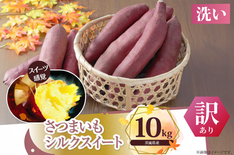 
            【訳あり】シルクスイート　約10kg（洗い）(BS-22)
          