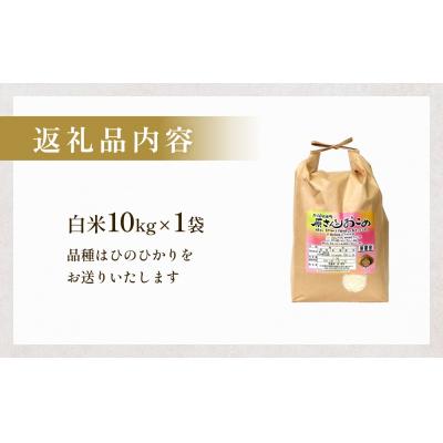 ふるさと納税 玖珠町 【令和8年産米先行受付】原さんちのお米 白米 10kg ひのひかり 米 お米 こめ コメ |  | 03