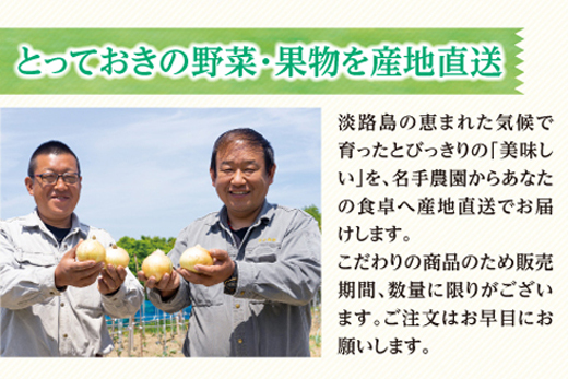 【新たまねぎ】名手農園の淡路島特産玉ねぎ10kg【発送時期