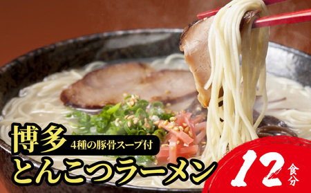 【4種の豚骨スープ】博多とんこつラーメン12食分【本場博多産のスープ】