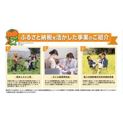 【返礼品なし】和歌山県橋本市への応援寄附金(500,000円分)