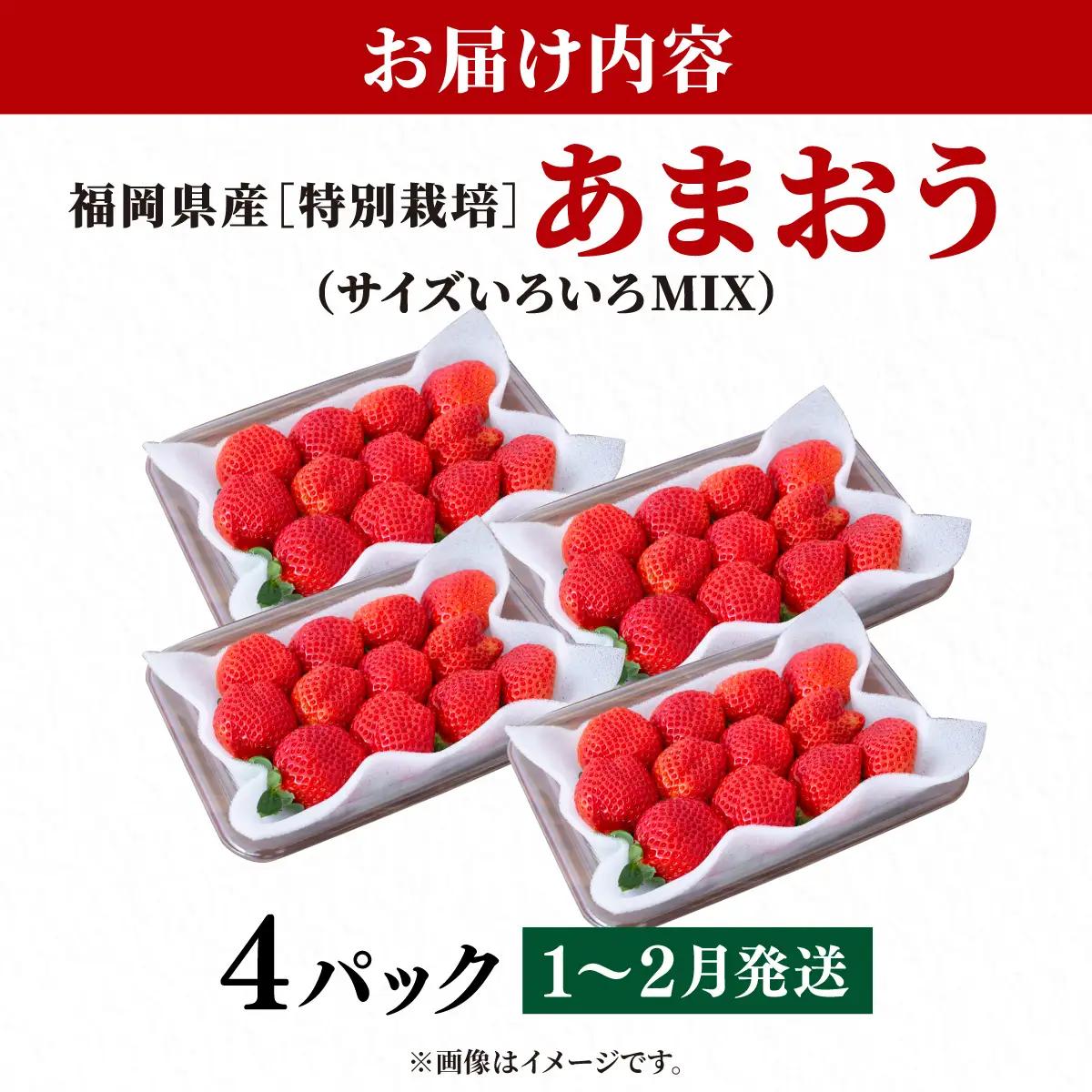 いちご 福岡県産 特別栽培 あまおう サイズいろいろMIX 約1140g（約285g×4パック）【1～2月発送】