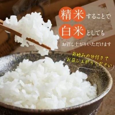 ふるさと納税 久留米市 先行予約【令和8年産】福岡県産ブランド米 夢つくし(玄米) 20kg(久留米市) |  | 03