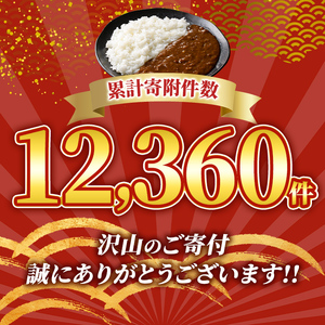 【A91018】鹿児島黒牛ビーフカレー 160g × 10P 牛肉 レトルトカレー 【新村畜産】