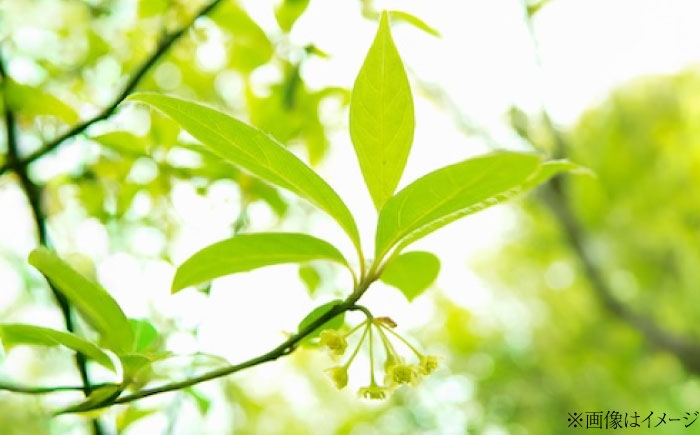 話題のクロモジをセットにしちゃいました。身体の内外から綺麗を。 アロマ