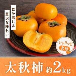 益城町産 太秋柿 約2kg(益城町)【配送不可地域：離島】【1661736】