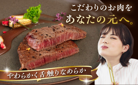 【全6回定期便】【A4/A5等級】博多和牛 ヒレステーキ 800g (100g×8枚) 糸島市 / ヒサダヤフーズ 黒毛和牛 牛肉 ヒレ肉  [AIA091]