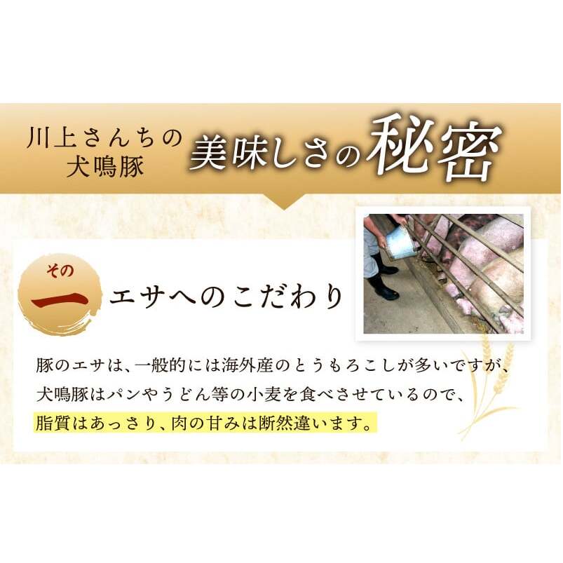 【期間限定】犬鳴豚の手作りプレミアムハンバーグ（10個入り）＋犬鳴豚餃子 6個【国産 豚肉 泉佐野ブランド豚 犬鳴ポーク】 099H3809-1_イメージ5