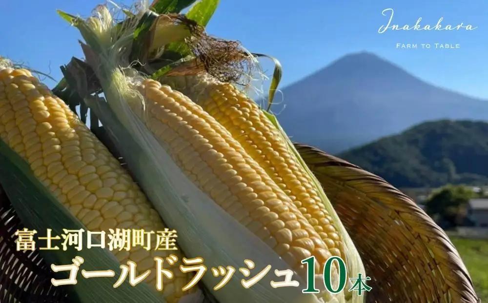 とうもろこし ＜2026年8月～9月発送＞【富士山の麓で育つ】河口湖町産Inakakara「ゴールドラッシュ」10本 野菜 やさい とうもろこし トウモロコシ コーン 先行予約