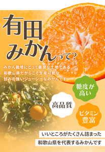 みかん ミカン 有田みかん 温州みかん 柑橘 有田 和歌山 産地直送/【2024年11月発送予約分】＼光センサー選別／ 【農家直送】【家庭用】こだわりの有田みかん 約2kg＋60g(傷み補償分)  先