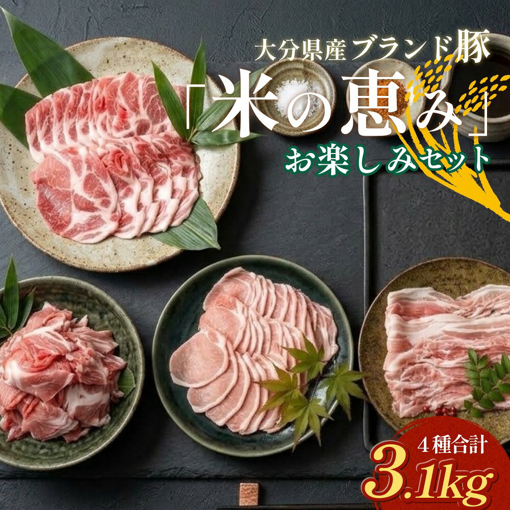 【ふるさと納税】大分県産 ブランド豚 「米の恵み」お楽しみセット 計3.1kg 豚肉 小分け