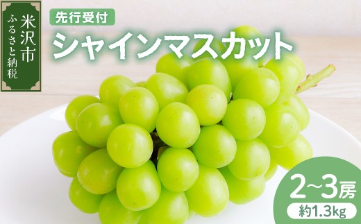 【先行予約】 【数量限定】 令和8年産 シャインマスカット 約1.3kg 2～3房 ぶどう 2026年9月中下旬～10月上旬頃 お届け予定 山形県 米沢市