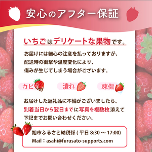 【2026年先行予約】 いちご 大粒 9～18粒 3箱 【 いちご 】