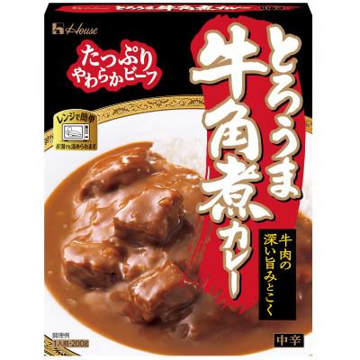 ふるさと納税 江南市 ハウス とろうま牛角煮カレー 中辛 200g ×20個 レトルトカレー レンジ調理対応