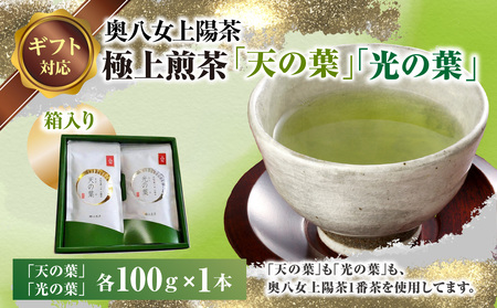 【ギフト用】奥八女上陽茶　極上煎茶「天の葉」100ｇ・極上煎茶「光の葉」100ｇセット箱 178-003-GFT