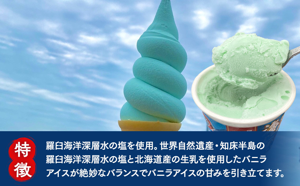羅臼海洋深層水使用！ 海のバニラアイス・羅臼昆布バニラアイス 12個セット  アイスクリーム スイーツ デザート 夏 北海道 羅臼町 知床 生産者 支援 応援