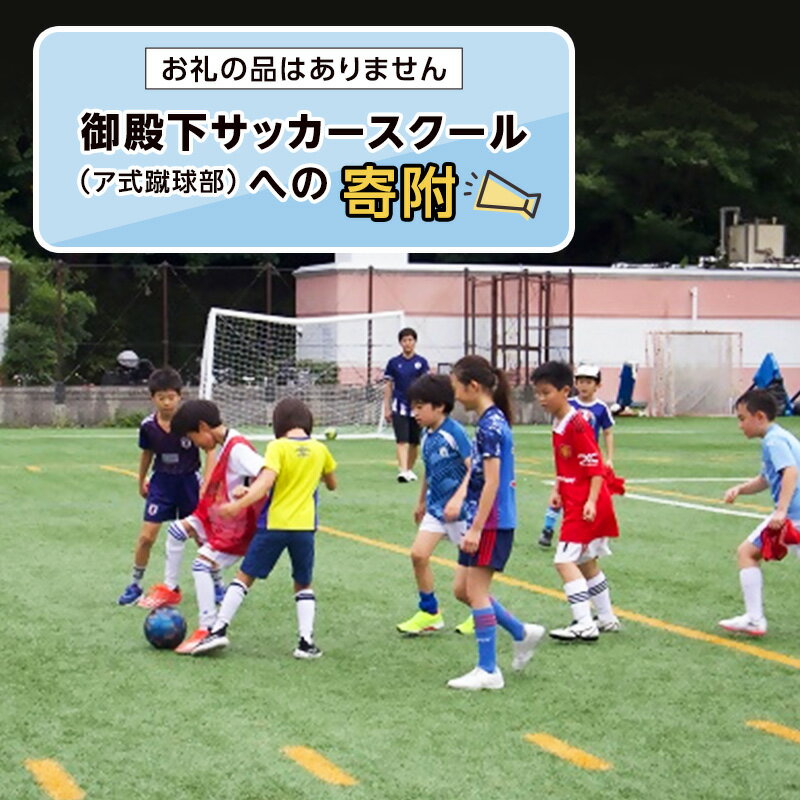 【ふるさと納税】【ふるさと納税東京大学地域貢献事業】【お礼の品はありません】御殿下サッカースクール（ア式蹴球部）への寄附