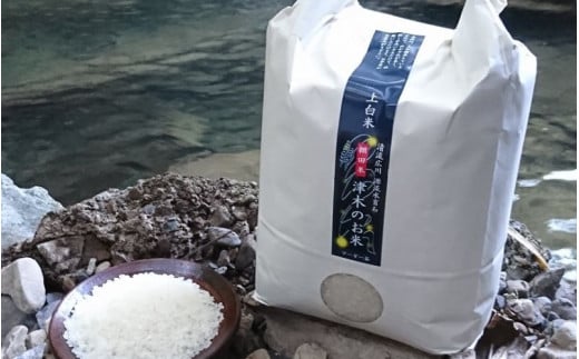 【25年度新米】津木のお米 4.5kg (30合ピッタリ使い切りサイズ) 【tug400-4d5A】