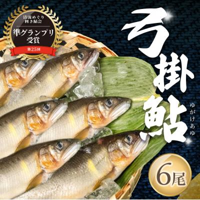 ふるさと納税 下呂市 【先行受付】(2026年8月上旬頃から発送)弓掛鮎 6尾セット【107-1】
