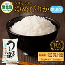 【ふるさと納税】発送回数が選べる! 令和5年産 うりゅう米 ゆめぴりか 5kg（5kg×1袋）定期便！毎月1回(計4回・計6回・計12回)お届け 米 精米 白米 ごはん ブランド おにぎり お弁当 おいしい 甘み お取り寄せ 北海道 雨竜町 送料無料