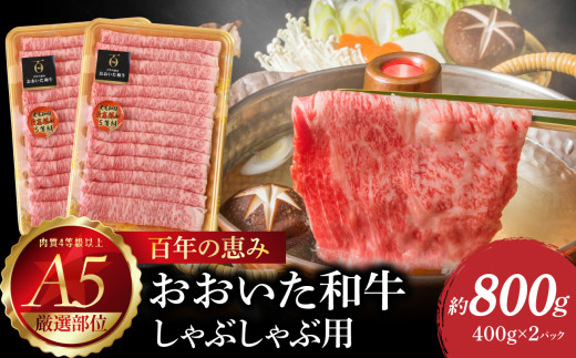 百年の恵み　おおいた和牛A5　しゃぶしゃぶ用【厳選部位】約800g 牛肉 和牛 しゃぶしゃぶ 霜降り ロース 肩ロース もも 厳選部位 A5 冷凍 A01102