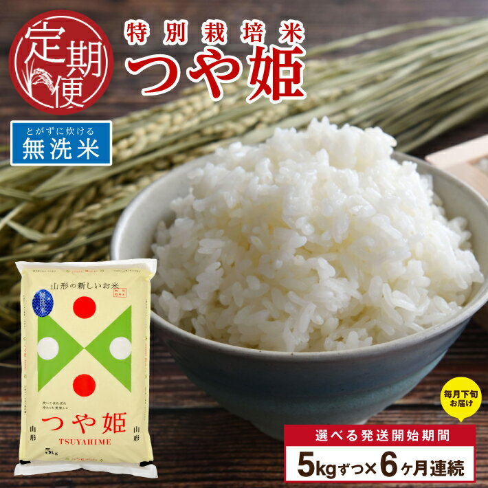 【ふるさと納税】≪新米予約≫ ≪6ヶ月定期便≫ 無洗米 特別栽培米 つや姫 5kg×6ヶ月 計30kg 山形県産 ご希望期間の毎月下旬頃お届け 米 白米 庄内米 ブランド米 ごはん ご飯 農家直送 産地直送 東北 山形県 酒田市 庄内 発送時期が選べる