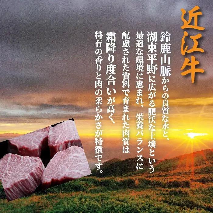 岩井亭 近江牛太子そぼろ300g （株）高島屋洛西店 滋賀県 東近江市 A20 近江牛 そぼろ 肉 惣菜 佃煮 和牛 ご飯のお供 おかず グルメ お取り寄せ ギフト