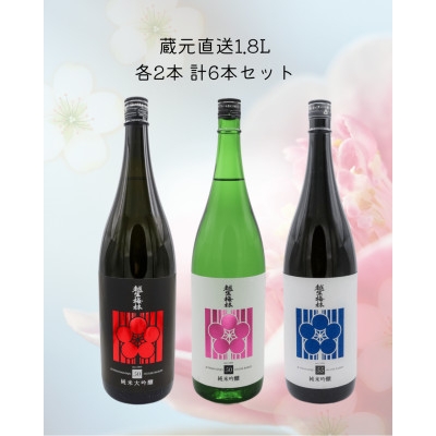 
                  越生梅林 蔵元直送3種 6本仕立て【1468339】
                