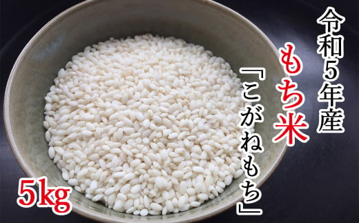 【令和5年産】平泉町産もち米 こがねもち 5kg / お米 こめ もちごめ 令和5年産 産地直送 国産 もち米の王様 年末 お正月 餅つき お餅 お雑煮 ぞうに お赤飯 おはぎ ぼたもち ギフト プレゼント 贈答 お祝い お返し