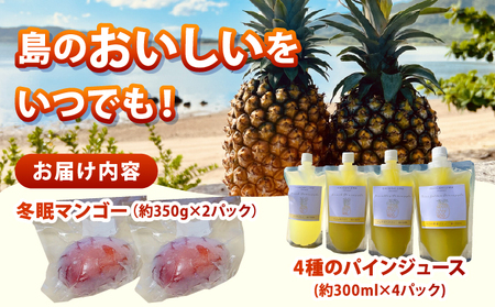 《8月以降順次発送》最高糖度20度！？冬眠マンゴーと完熟パイン4種のジュース 