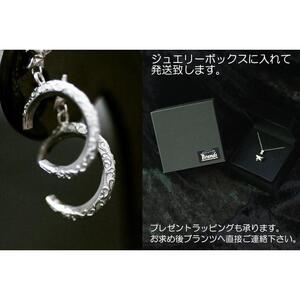 ブランツ 三日月と星の唐草ピアス｜ピアス