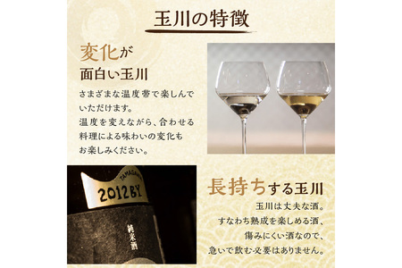 【京都・京丹後の山廃・無濾過生原酒】玉川 自然仕込 純米酒（山廃）720ml＜木下酒造定番 玉川 山廃シリーズ／無濾過 生原酒／無ろ過＞