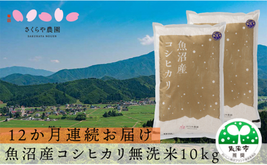 
[№5762-0806]【定期便】さくらや農園 魚沼産コシヒカリ 無洗米10kg（5kg×2）12か月連続お届け
