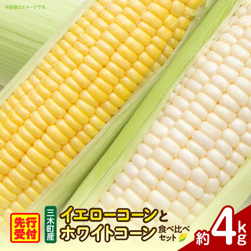 【ふるさと納税】三木町産 ゴールドラッシュとホワイトコーンの食べ比べセット とうもろこし ゴールドラッシュ ホワイトコーン イエローコーン 食べ比べ セット 食べ比べセット 詰め合わせ 野菜 旬 旬の野菜 季節の野菜 グルメ お取り寄せ 人気 おすすめ 香川県 三木町