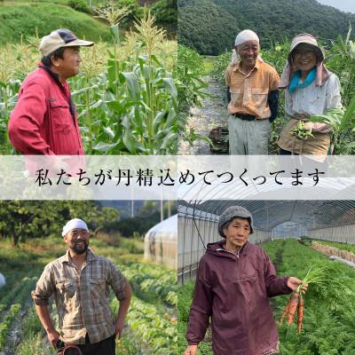 ふるさと納税 津和野町 【産地直送】島根県津和野産・採れたて旬の野菜詰め合わせセット[6〜8種セット] |  | 01