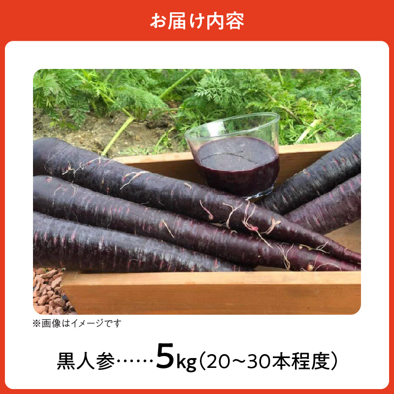 【期間限定】おどろきの甘さと抗酸化力！　黒人参『黒王』5Kg　にんじん スーパーフード 健康 メロン みかん 甘い 糖度 ジュース 自慢 カラフル ブラック キャロット 農作物 自然 野菜 老化防止 