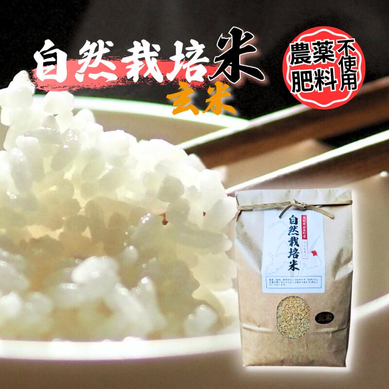 【ふるさと納税】【2025新米先行予約】岩美町産 自然栽培米 コシヒカリ（玄米）3kg～10kg｜鳥取 岩美町 自然 お米 米 玄米 選べる内容量 自然栽培 無農薬 無肥料 新米 先行予約 早期予約