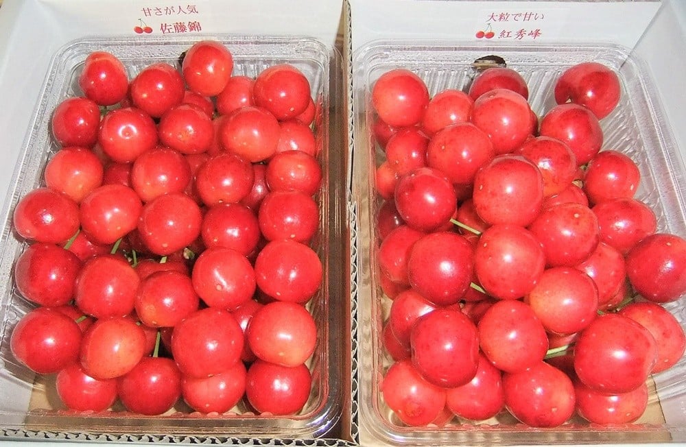 
            温室さくらんぼ味比べ（佐藤錦と紅秀峰）１ｋｇ　0112-2607
          