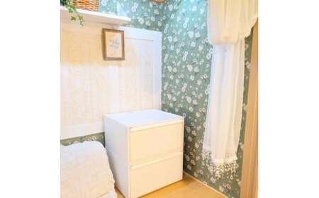 クローゼットシステム ワイド引出し（M）2個組 CS-WD2 2P オールブラック (5色からお好きなカラーが選べる)   奈良県 葛城市【like025-3】