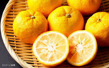 ゆず香 6袋 / ゆず香 柚子 ゆず / 恵那市 / かさぎゆず組合[AUAW010]