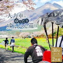 【ふるさと納税】【湯布院】人力車でゆったりゆふいん巡り 30分コース／2名様 | 体験 ペア チケット ペアチケット 旅行 観光 湯布院 由布院 大分県 大分 由布市