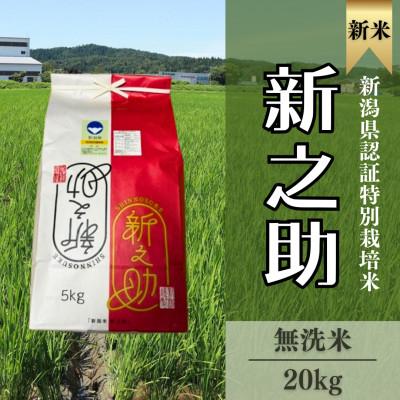 ふるさと納税 柏崎市 【特別栽培米 新之助】無洗米20kg(5kg×4)◆令和7年産◆新米◆精米