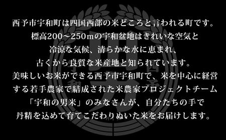 新米＜令和6年産 田力米 5kg にこまる＞お米 こめ コメ 白米 精米 ご飯 ごはん 特産品 産地直送 田力本願 愛媛県 西予市【常温】『2024年10月下旬より順次出荷予定』UTH0002