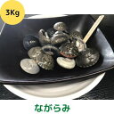 【ふるさと納税】食べたら止まらないやつ九十九里浜の“ながらみ“3kg入り　【 海鮮 魚介類 魚貝類 貝 ながらみ 九十九里 酒の肴 おつまみ 】