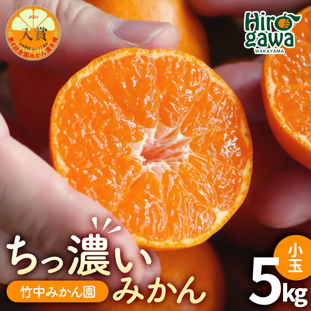 【ふるさと納税】 ちっ濃い 有田 みかん 5kg 小玉 (2S～3S） 12000円 ※11月上旬～1月中旬に順次発送予定 / みかん ちっちゃい 早生 柑橘 果物 フルーツ くだもの 果実 //mandarin