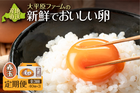 【3回定期便】大平原ファームの新鮮でおいしい卵 計40個(赤卵)×3ヶ月【北海道 清水 卵 120個 赤卵 こだわり卵 赤卵 卵かけご飯 玉子 タマゴ 卵焼き TKG 温泉卵 オムレツ ゆでたまご 栄養満点 国産 定期便】_S035-0016