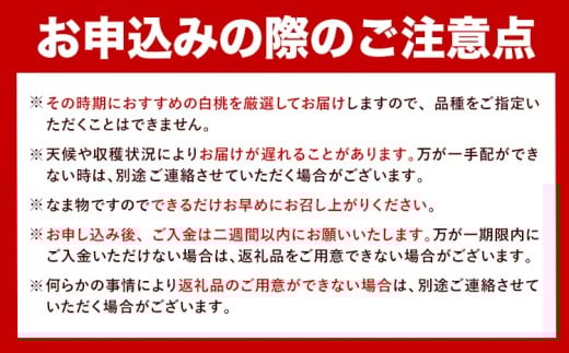 【先行予約】岡山県産 岡山白桃 エース ニューピオーネ 計 800g 詰合せ 株式会社 はちや《7月上旬‐8月下旬頃出荷》もも 岡山 国産 フルーツ 果物 岡山県 浅口市 フルーツ モモ 果物【配送不
