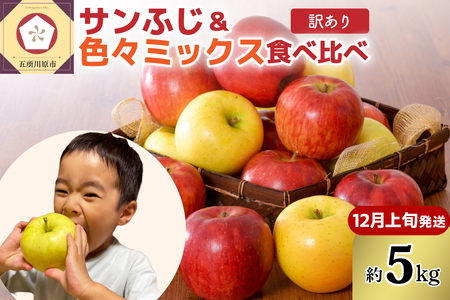 【2025年12月上旬発送】【訳あり】りんご5kg青森産家庭用完熟サンふじ＆色々ミックス